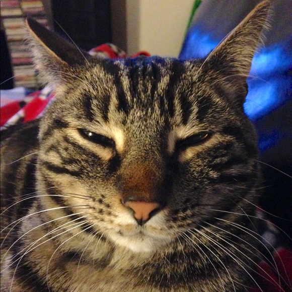 Meet your Posher, Jennifer - Picture 8 of 12